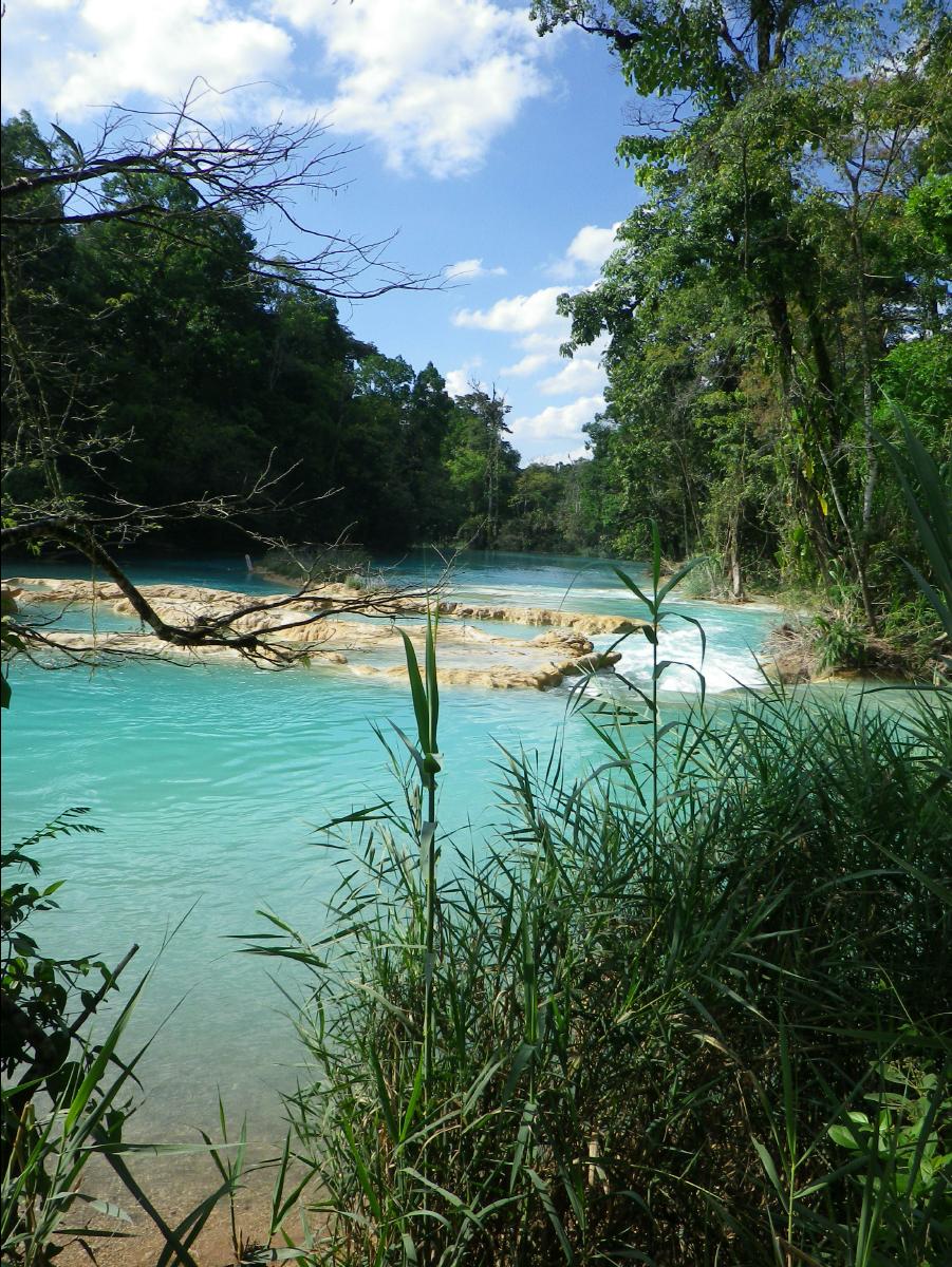 Agua Azul Waterfall16